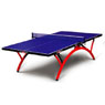 Table Tennis Table T2828 