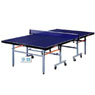  Table Tennis Table T2023 