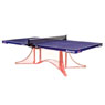 Pisces wings 2 table tennis tables 